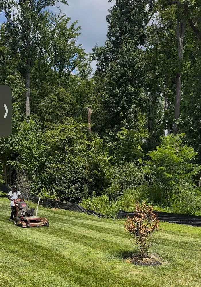Reliable garden landscaping in Temple Hills, MD - Pristine Property Group