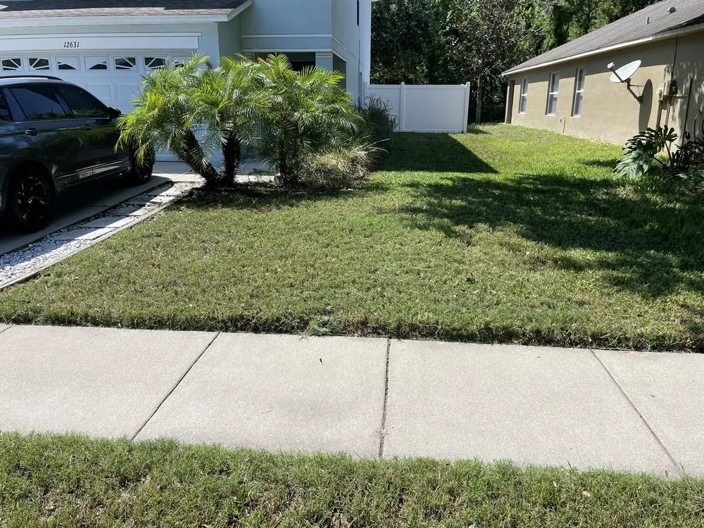 Professional yard cleanup service experts serving Hudson, FL - Pristine Property Maintenance