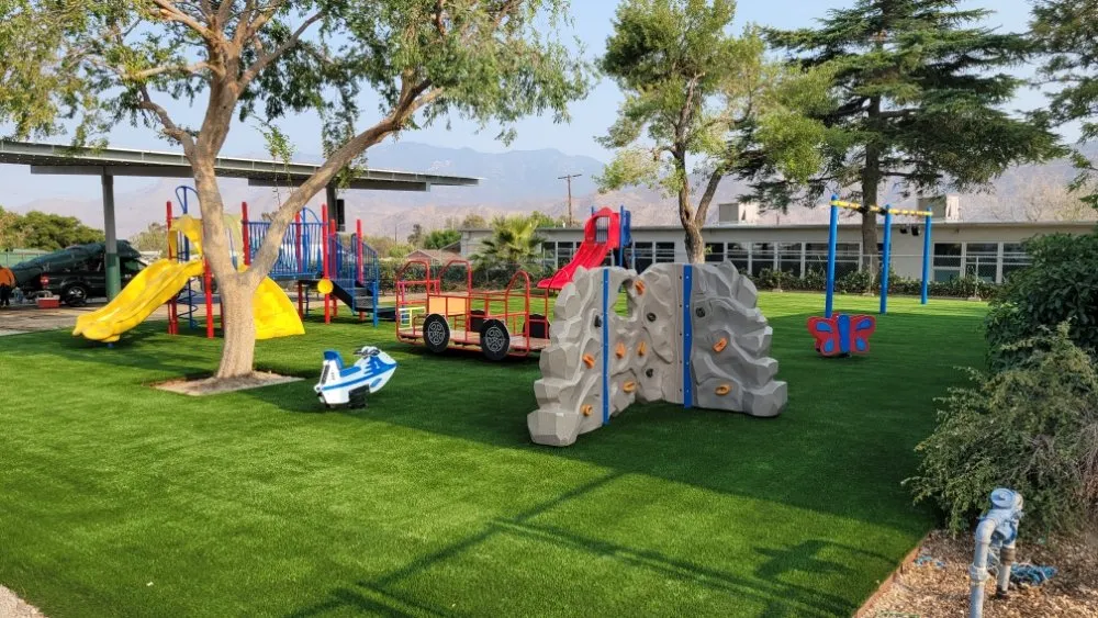 Affordable lawn mowing service in Orange, CA by Pristine Scapes