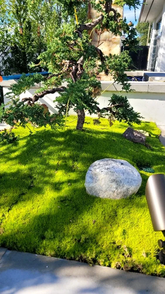 Reliable garden landscaping in Orange, CA by Pristine Scapes