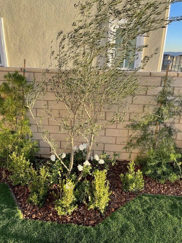 Local residential landscaping in Orange, CA - Pristine Scapes