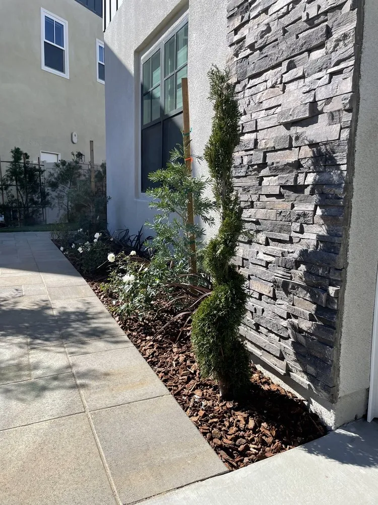 Local yard maintenance for beautiful yards across Orange, CA - Pristine Scapes
