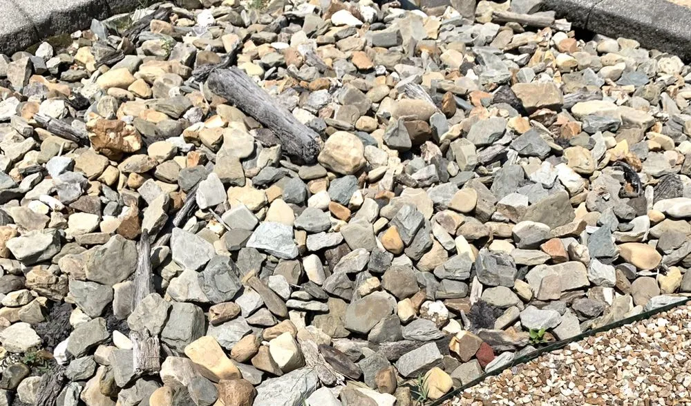 Custom yard cleanup service for beautiful yards in Muskogee, OK by Pristine Services