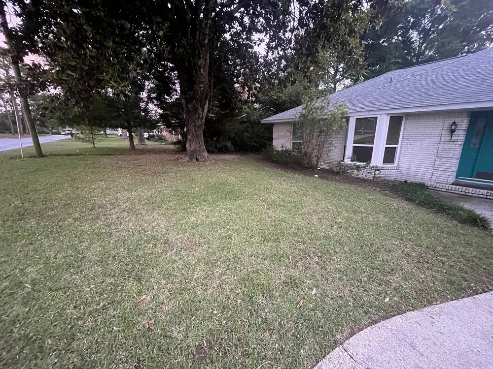 Trusted yard maintenance in Pensacola, FL by Pristine Spotless Interior and Exterior Care