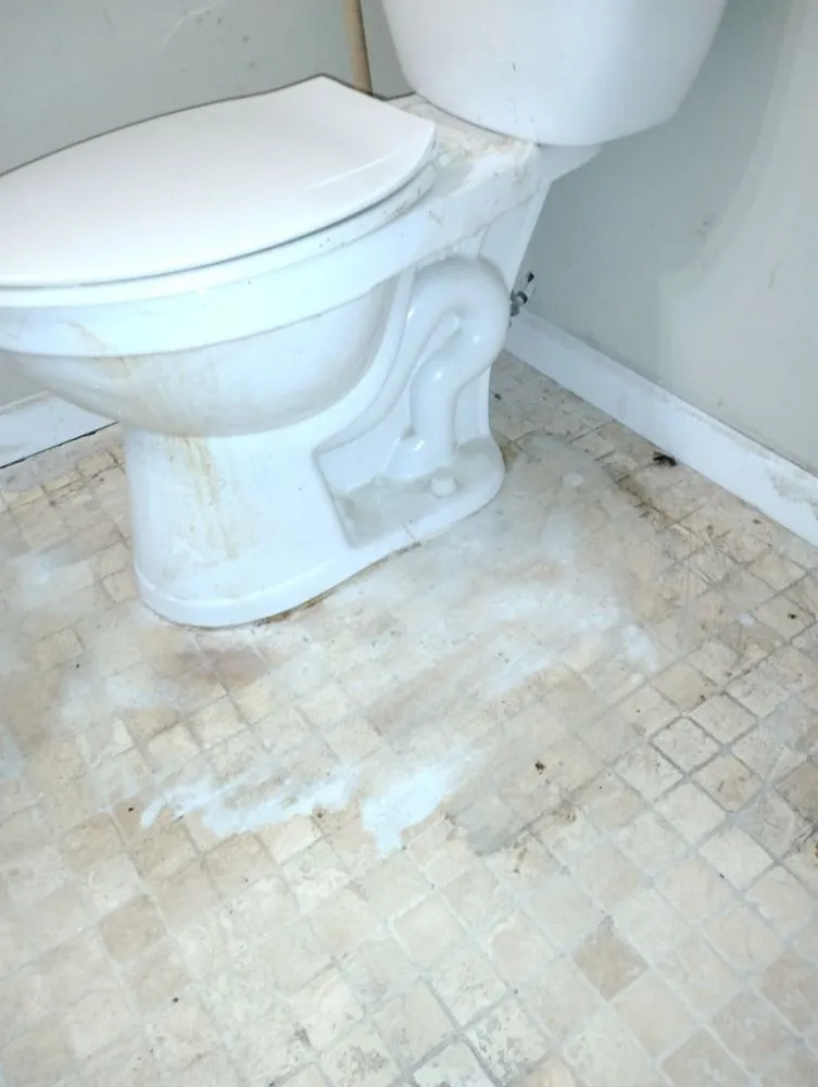 Local outdoor landscaping in Pensacola, FL - Pristine Spotless Interior and Exterior Care