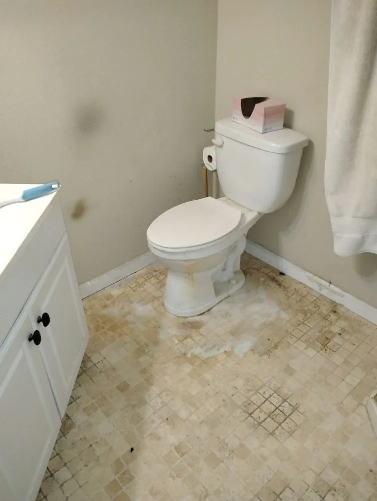 Reliable garden landscaping for beautiful yards across Pensacola, FL - Pristine Spotless Interior and Exterior Care