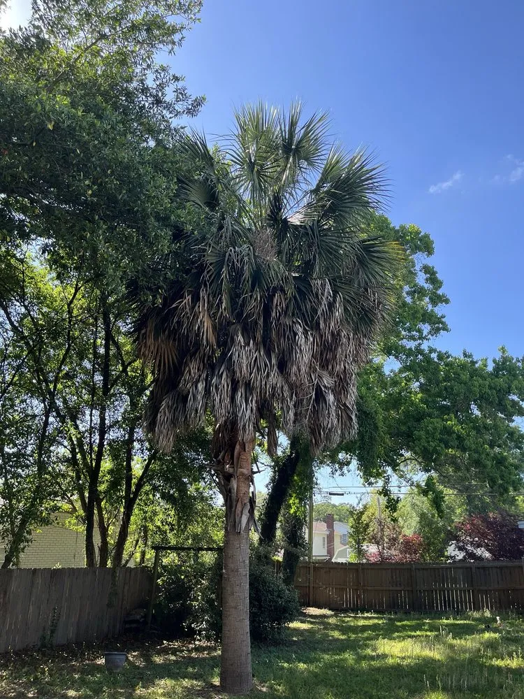 Top-rated lawn care service experts serving Pensacola, FL - Pristine Spotless Interior and Exterior Care