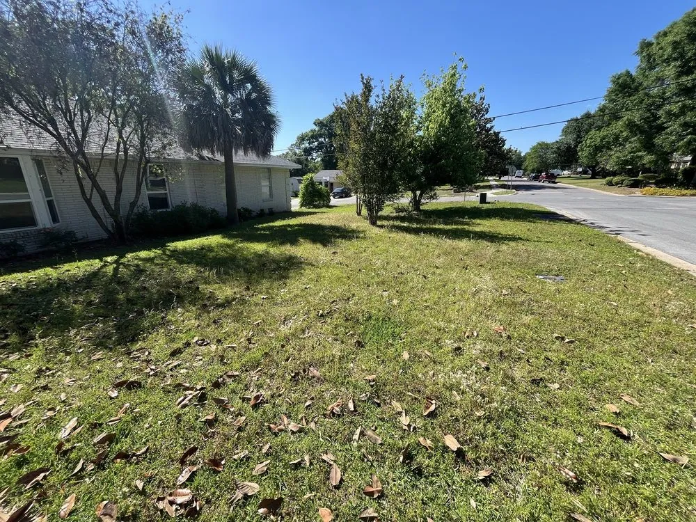 Local landscaping services in Pensacola, FL by Pristine Spotless Interior and Exterior Care