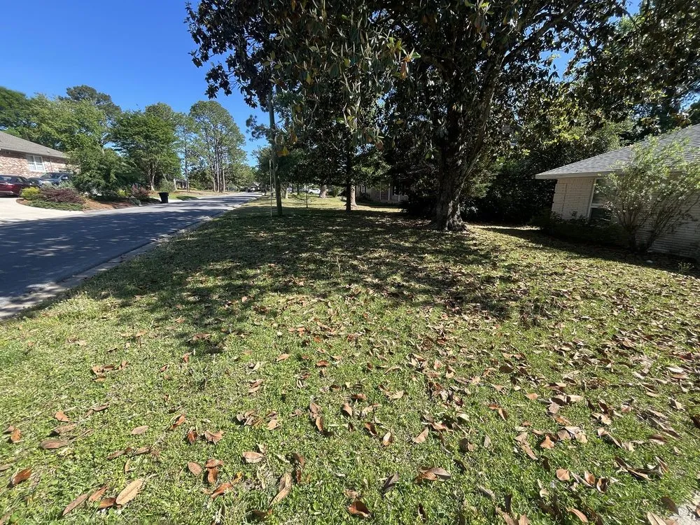 Custom lawn care service near you across Pensacola, FL - Pristine Spotless Interior and Exterior Care