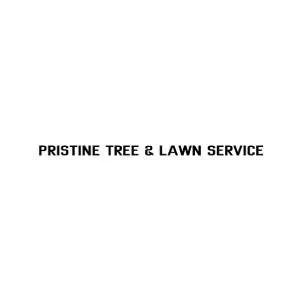 Top-rated landscaping services experts serving Pflugerville, TX - Pristine Tree & Lawn Service