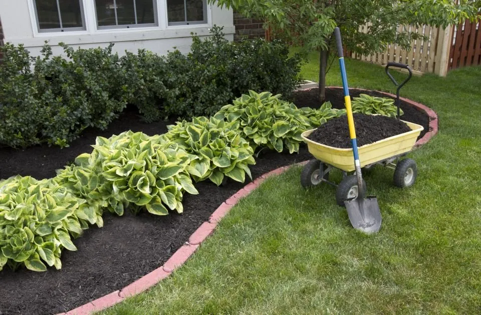 Local lawn mowing service for outdoor upgrades across Pflugerville, TX - Pristine Tree & Lawn Service