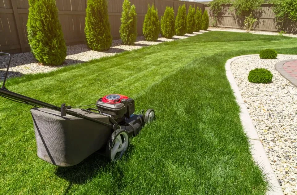 Affordable outdoor landscaping for residential properties across Pflugerville, TX - Pristine Tree & Lawn Service