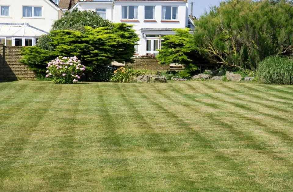 Expert garden landscaping experts serving Pflugerville, TX - Pristine Tree & Lawn Service