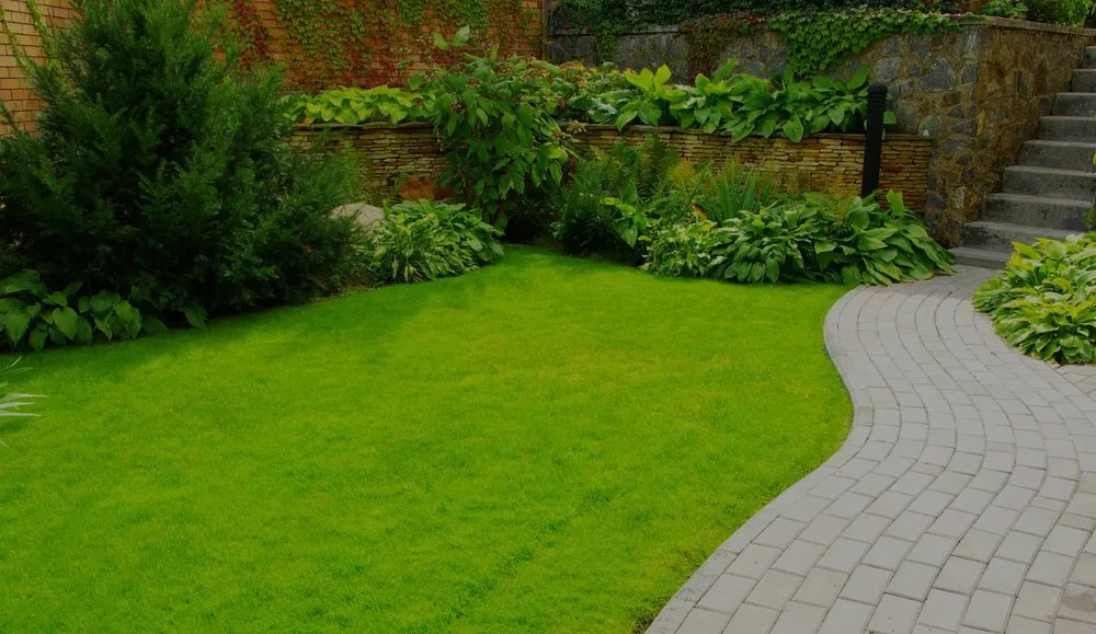 Expert landscape design near you across Pflugerville, TX - Pristine Tree & Lawn Service