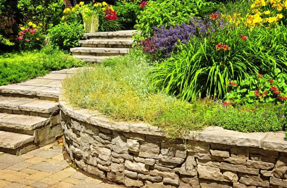 Expert outdoor landscaping experts serving Pflugerville, TX - Pristine Tree & Lawn Service