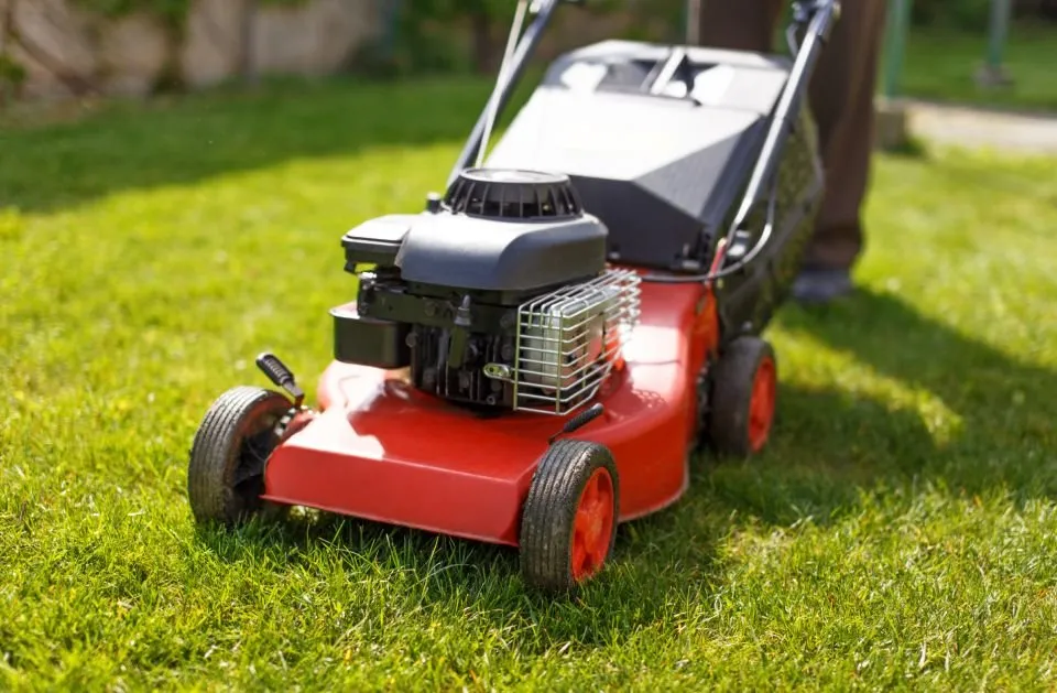 Expert landscaping services in Pflugerville, TX - Pristine Tree & Lawn Service