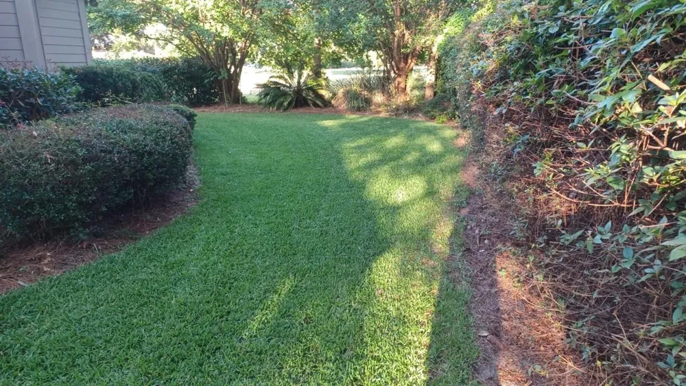 Top-rated outdoor landscaping for homes in Bluffton, SC by Pristine Turf & Irrigation