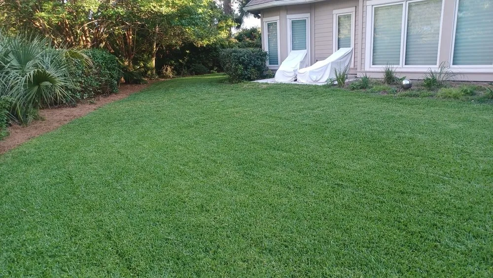 Trusted yard cleanup service near you in Bluffton, SC by Pristine Turf & Irrigation