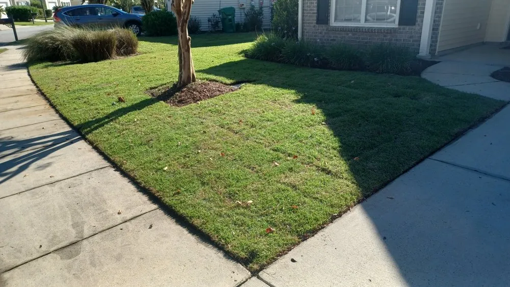 Local garden landscaping experts serving Bluffton, SC - Pristine Turf & Irrigation