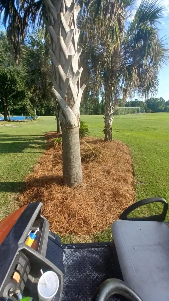 Top-rated residential landscaping in Bluffton, SC - Pristine Turf & Irrigation