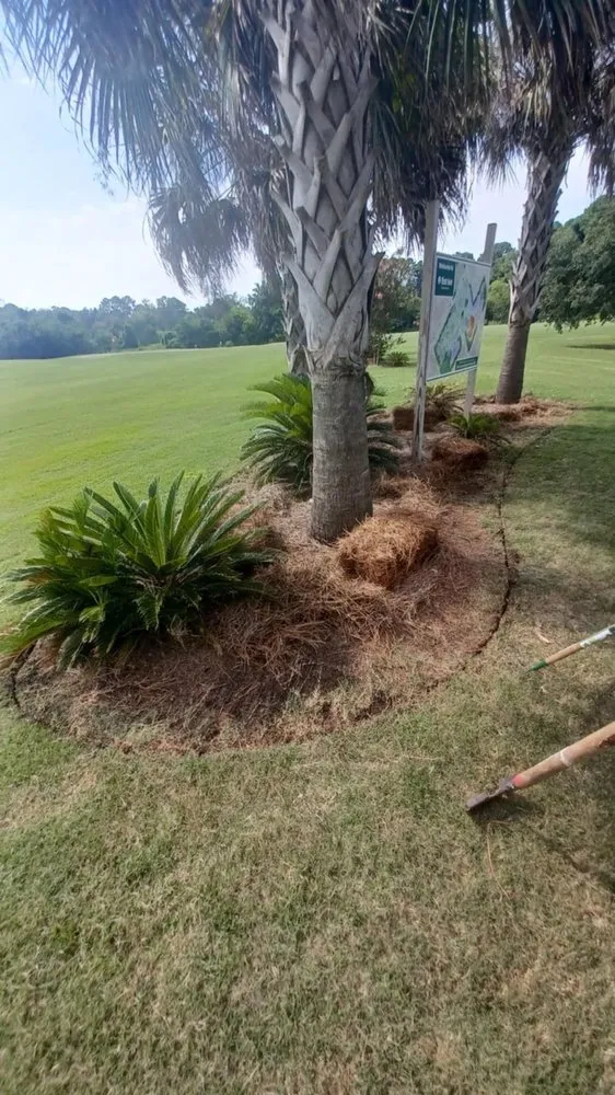 Professional outdoor landscaping in Bluffton, SC - Pristine Turf & Irrigation