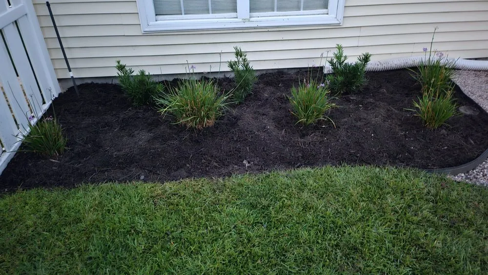 Expert yard cleanup service in Bluffton, SC - Pristine Turf & Irrigation