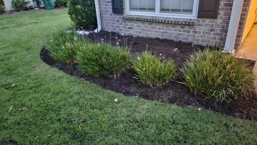 Professional yard cleanup service experts serving Bluffton, SC - Pristine Turf & Irrigation