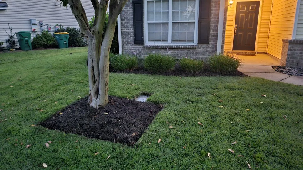 Professional lawn care service for beautiful yards across Bluffton, SC - Pristine Turf & Irrigation