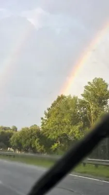 Pristine Turf & Irrigation Logo