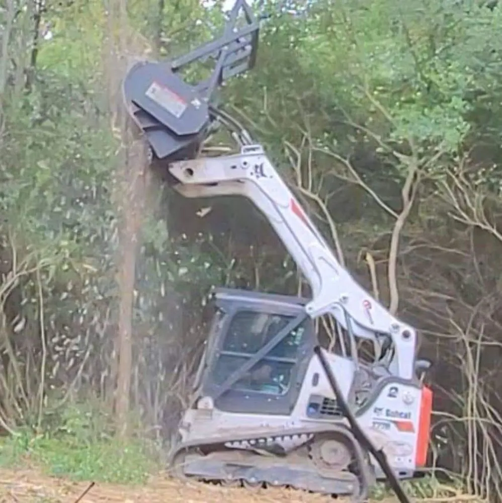 Expert landscape design in Elm City, NC by Pristine Turf Management & Landscaping