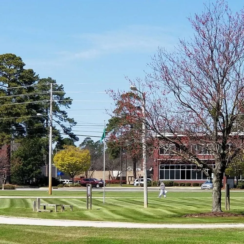 Top-rated outdoor landscaping in Elm City, NC - Pristine Turf Management & Landscaping