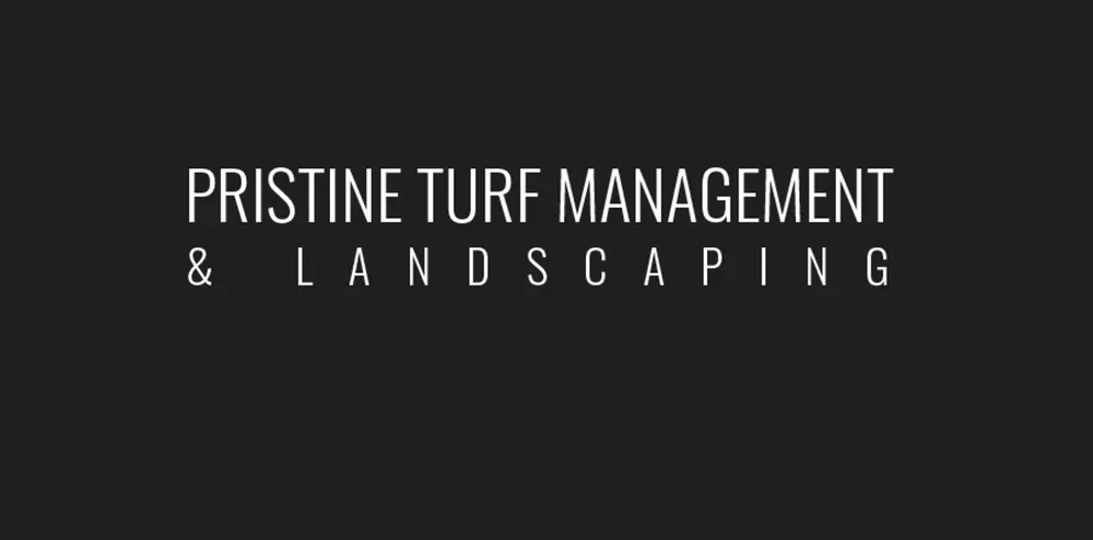 Top-rated yard cleanup service experts serving Elm City, NC - Pristine Turf Management & Landscaping