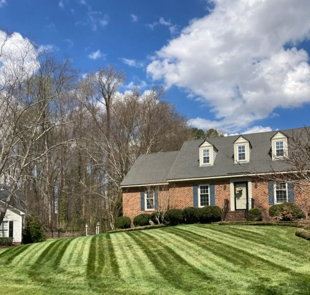 Expert yard cleanup service experts serving Elm City, NC - Pristine Turf Management & Landscaping