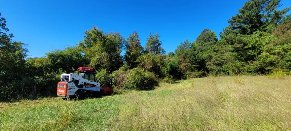 Expert lawn care service in Elm City, NC by Pristine Turf Management & Landscaping