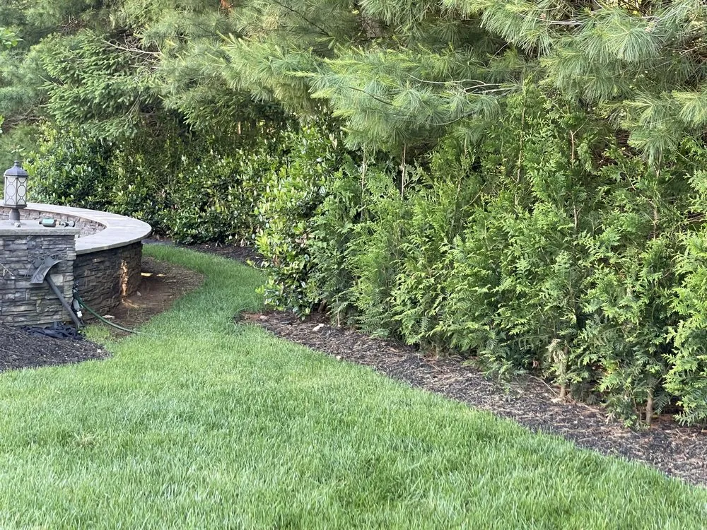 Affordable lawn care service for homes in Oceanport, NJ by Privacy Kings