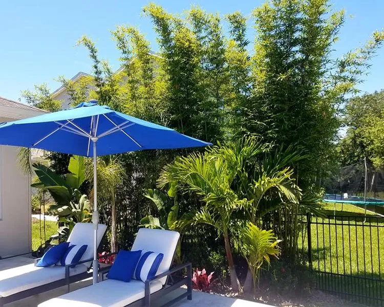 Top-rated outdoor landscaping in Saint Johns, FL by Privacy Landscaping