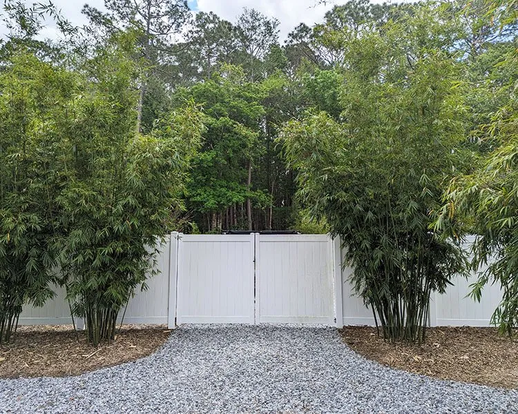 Custom residential landscaping for homes across Saint Johns, FL - Privacy Landscaping
