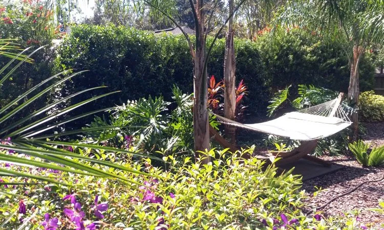 Local landscape design with custom design across Saint Johns, FL - Privacy Landscaping