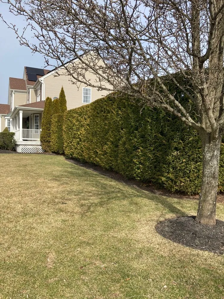 Reliable lawn mowing service in Wading River, NY - Privacy Trees Direct