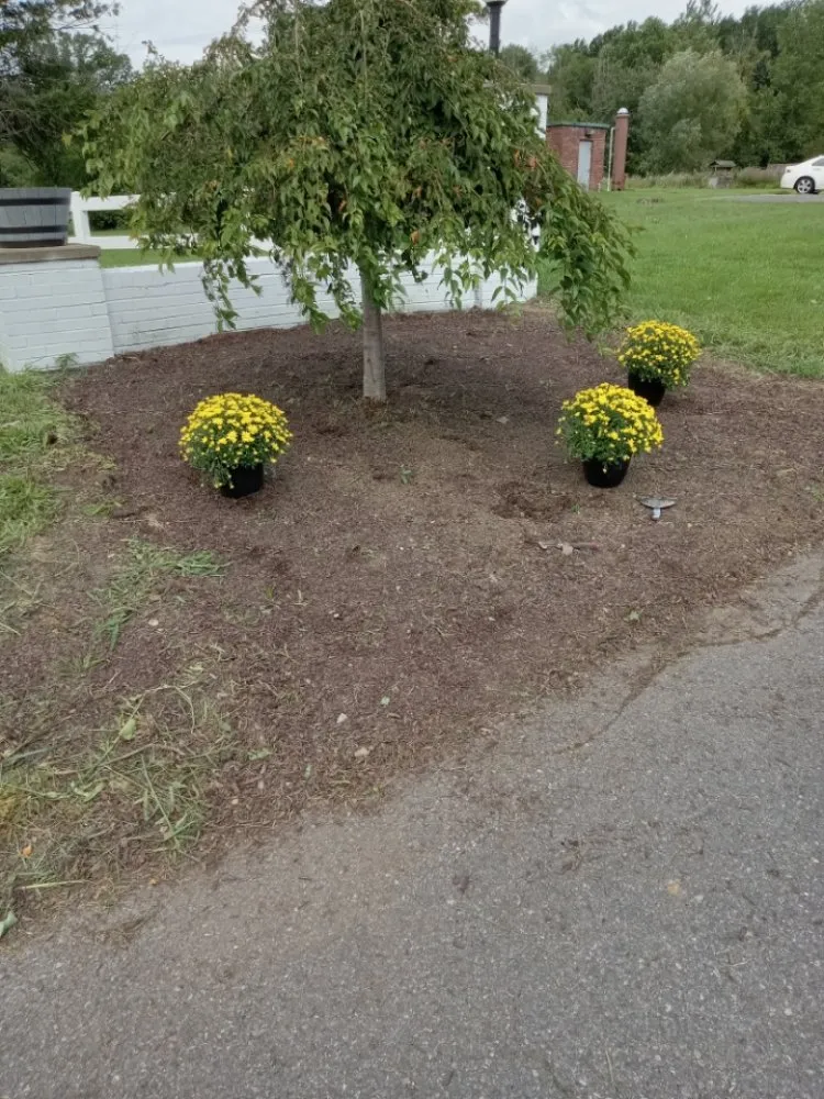 Reliable landscape design in Albany, NY by Private And Professional Lawn Care Service