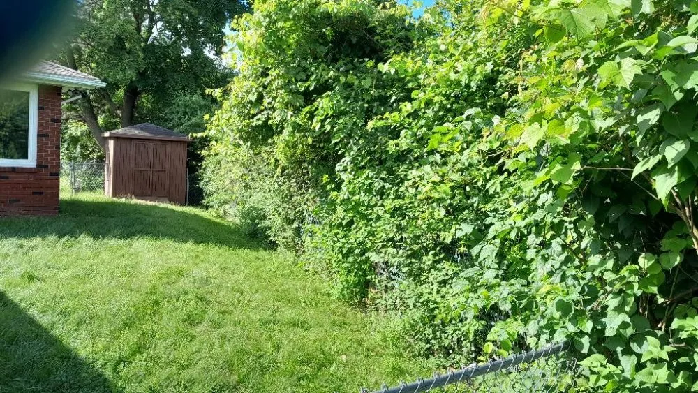 Trusted residential landscaping near you in Albany, NY by Private And Professional Lawn Care Service