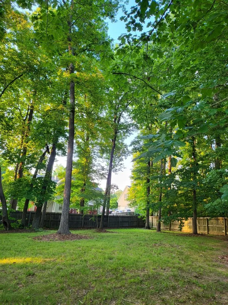 Professional lawn mowing service experts serving Jamestown, NC - Private Home Lawn Care