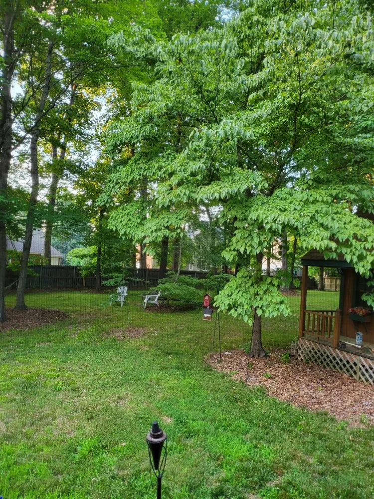 Professional outdoor landscaping near you in Jamestown, NC by Private Home Lawn Care