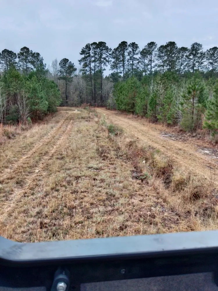 Expert lawn care service for outdoor upgrades in Council, NC by Private Landscaping