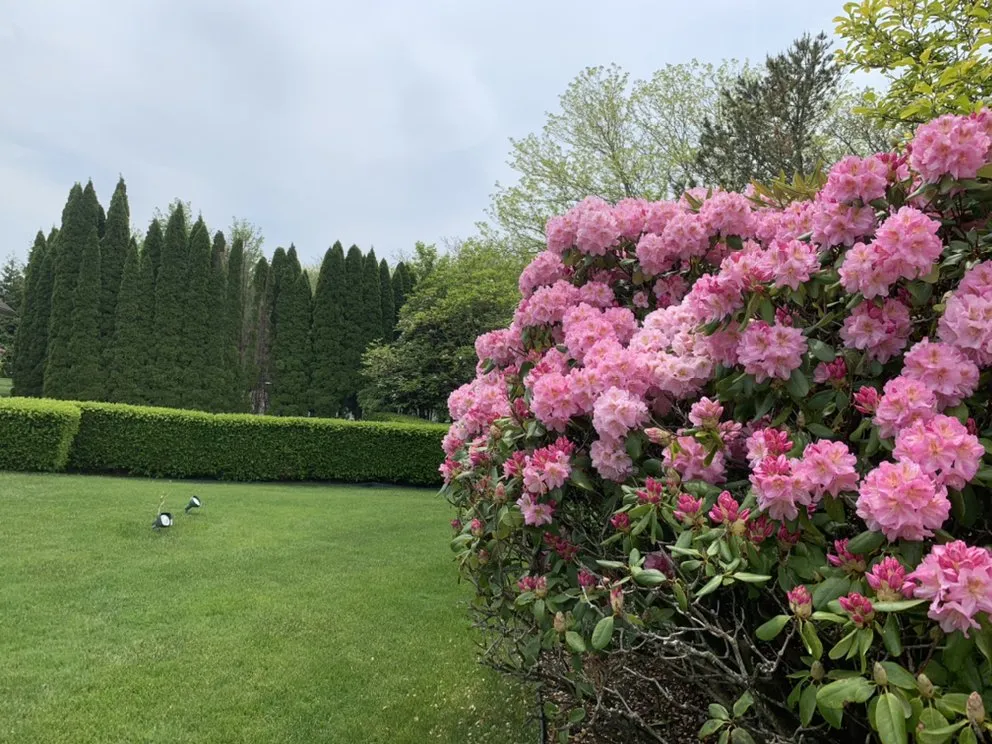 Professional lawn care service for outdoor upgrades across Westhampton Beach, NY - Privet Landscaping