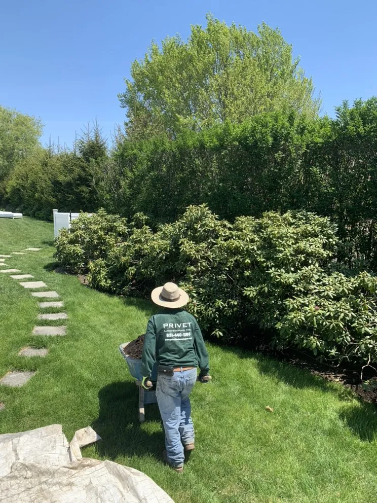 Professional outdoor landscaping in Westhampton Beach, NY by Privet Landscaping
