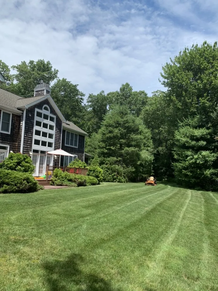 Expert yard maintenance experts serving Westhampton Beach, NY - Privet Landscaping