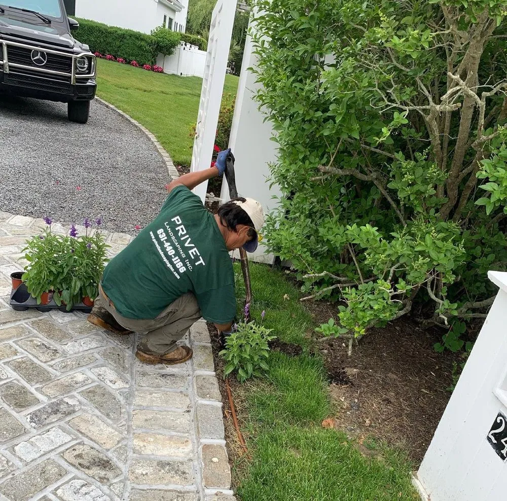 Local garden landscaping experts serving Westhampton Beach, NY - Privet Landscaping