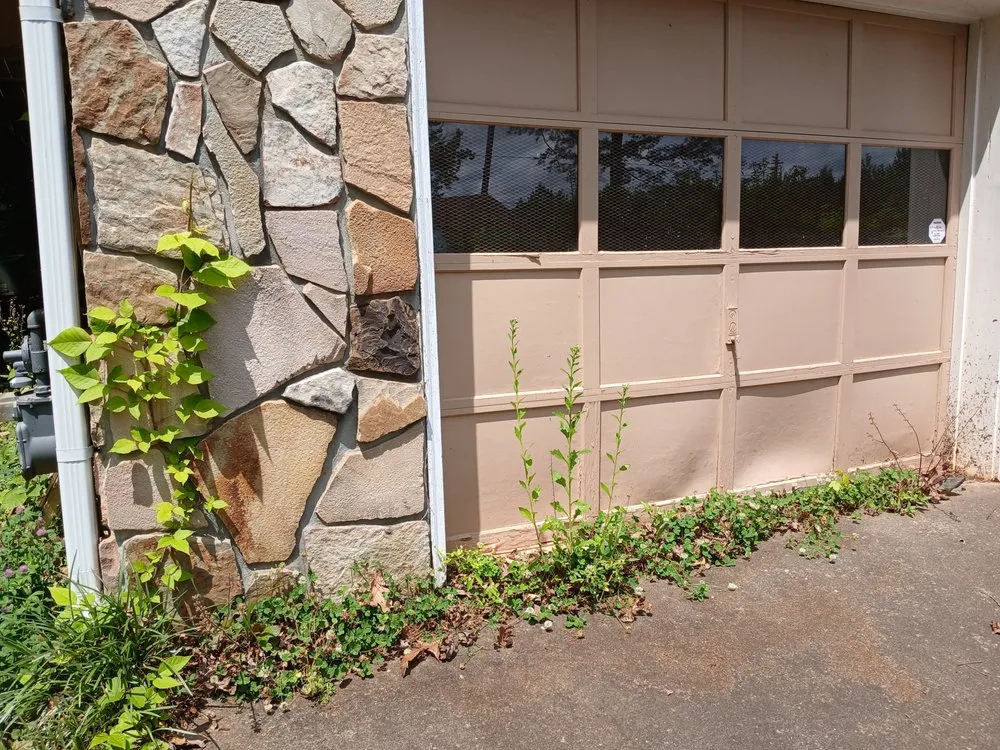 Reliable yard cleanup service for outdoor upgrades across Atlanta, GA - Privilege Society