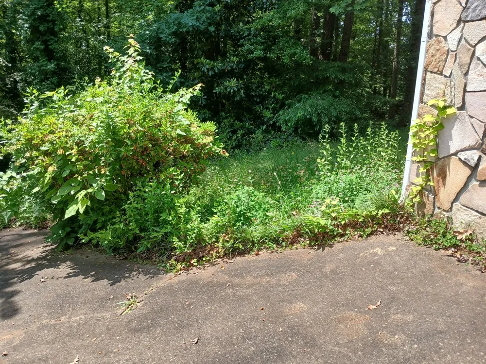 Trusted lawn mowing service in Atlanta, GA by Privilege Society